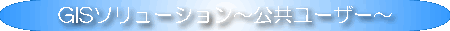 GIS\[V`[U[`